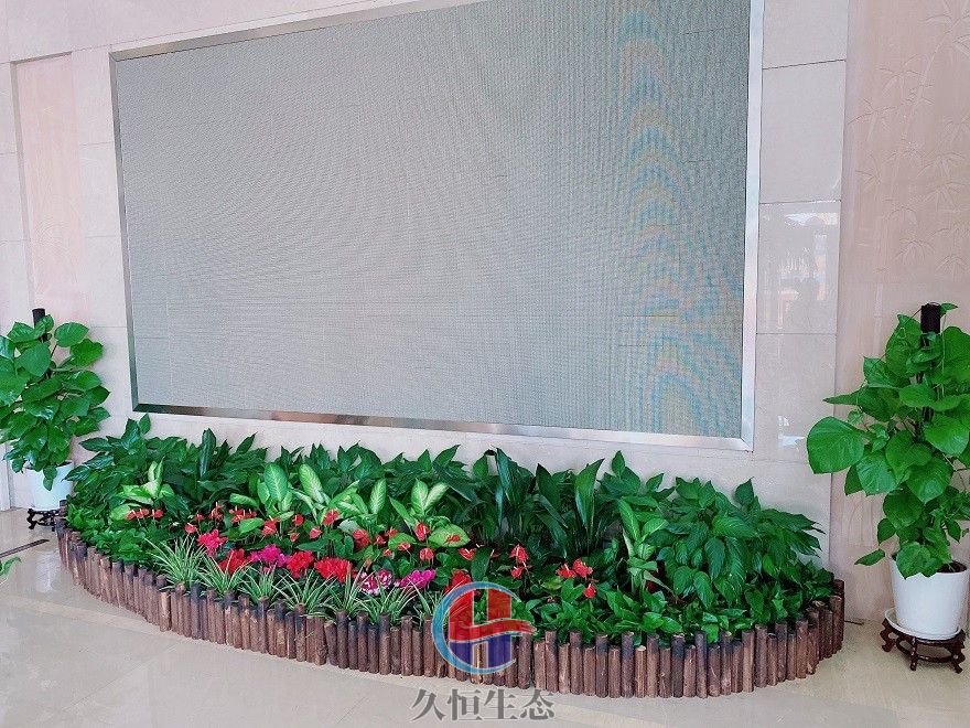 海盐企业大厅显示屏组合花卉绿植摆放